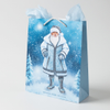 Kraft Paper Cold Foil Stamping Holiday Gift Bag 7855 Style Gift bag - Gift Packaging