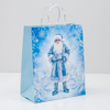 Kraft Paper Cold Foil Stamping Holiday Gift Bag 5129 Elegant Gift bag - Gift Packaging